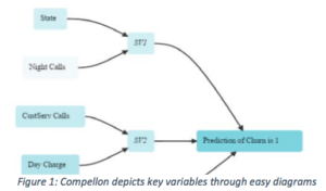 Compellon Data Analysis