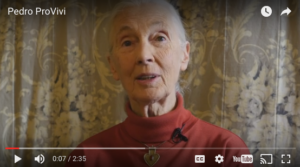 Jane Goodall Endorses Provivi - Kairos Ventures