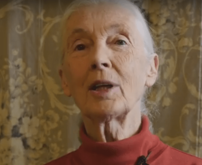 Jane Goodall Endorses Provivi -Kairos Ventures