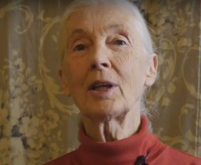 Jane Goodall Endorses Provivi -Kairos Ventures