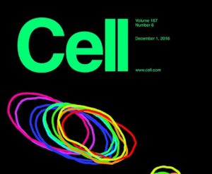 Cell, Volume 167, Issue 6 December 01, 2016