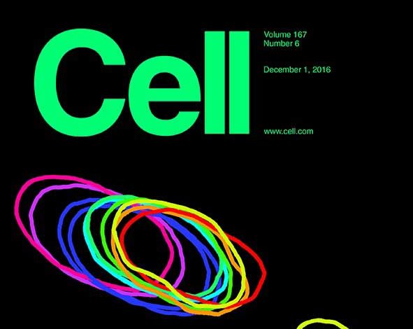 Cell, Volume 167, Issue 6 December 01, 2016
