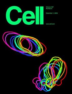 Cell, Volume 167, Issue 6 December 01, 2016